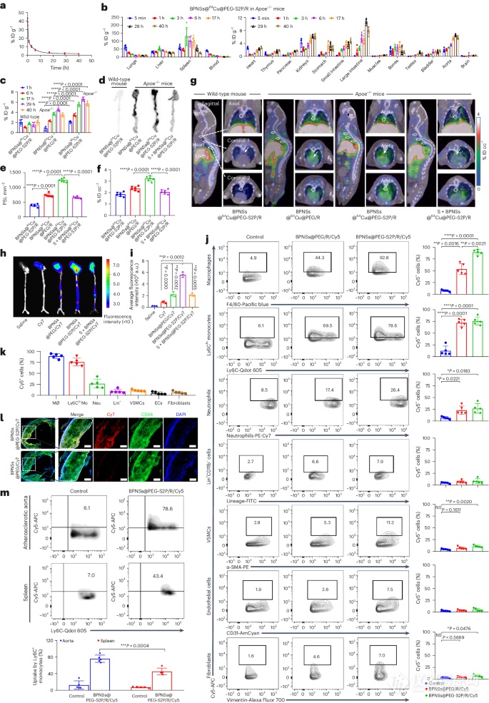Pg电子平台：仪器表征科学家开发新型纳米药物用于治疗动脉粥样硬化！(图2)