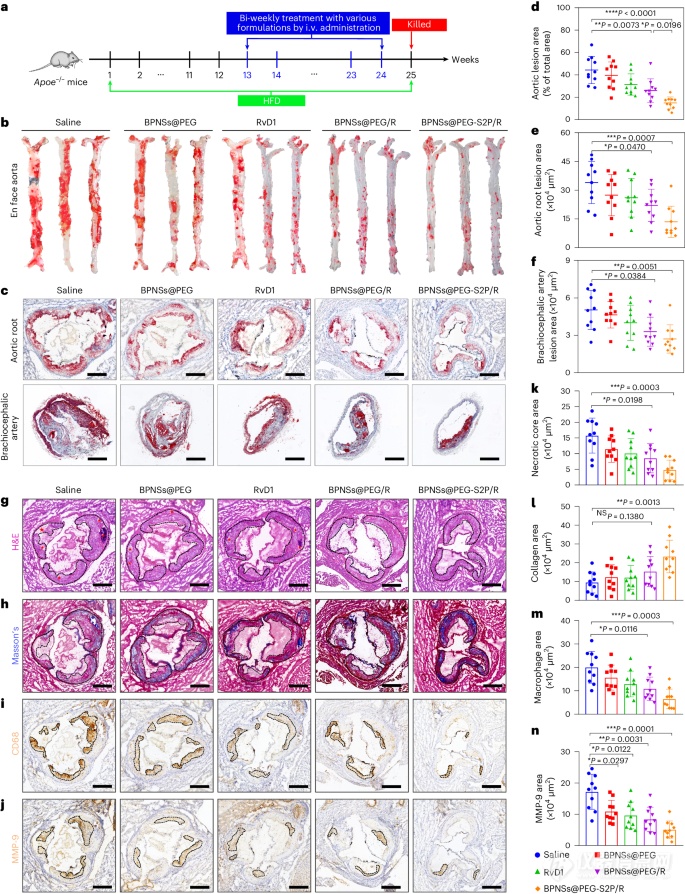 Pg电子平台：仪器表征科学家开发新型纳米药物用于治疗动脉粥样硬化！(图3)