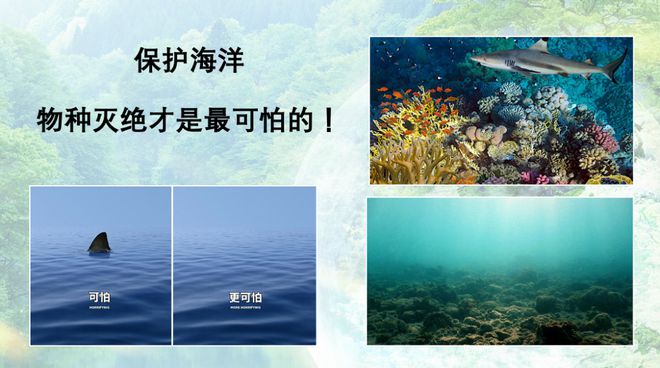 Pg电子平台：阳离子走进余杭瓶窑一小开展低碳讲座(图4)