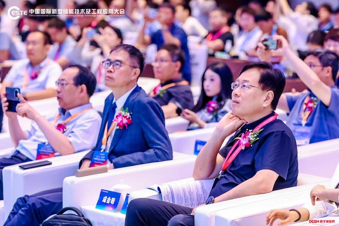 Pg电子游戏平台：陈忠伟院士：完善材料-电极-器件全链条系统化研究实现降本增效(图2)