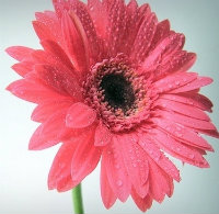 Pg电子平台：电源模块设计原理(图2)