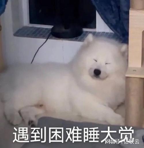 Pg电子游戏：如何解决服务器延迟过高的问题？(图1)