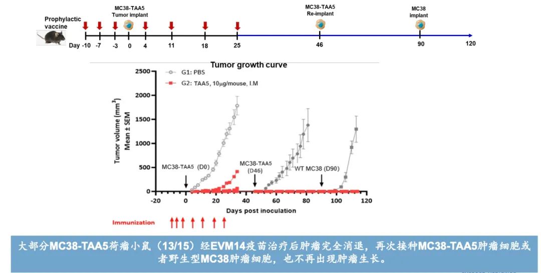Pg电子游戏平台：重估云顶新耀三重确定性(图5)