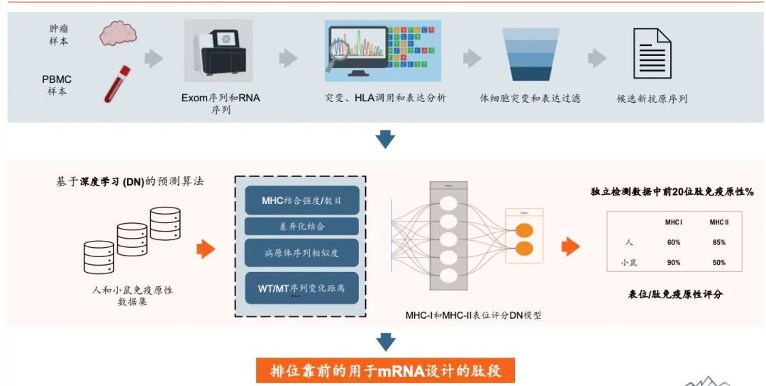 Pg电子游戏平台：重估云顶新耀三重确定性(图6)