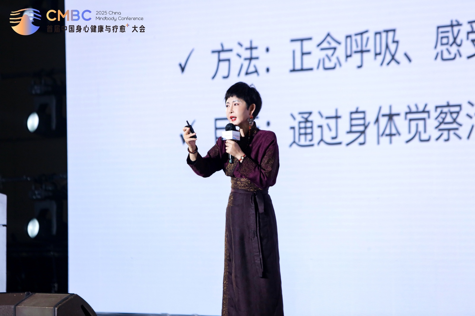Pg电子游戏：2025首届中国身心健康与疗愈⁺大会为行业破局增长注入新力量！(图6)