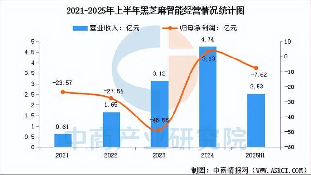 Pg电子游戏平台：2025年中国汽车芯片行业市场前景预测研究报告（简版）(图11)