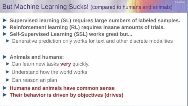 Pg电子平台：图灵奖得主LeCun最后警告Meta！我搞了40年AI大模型是死路(图11)