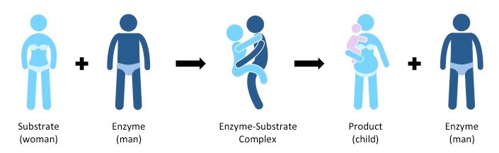 什么是抑制剂（酶抑制剂化学）